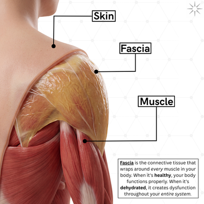 TrueForm™ Fascial Release Supplement