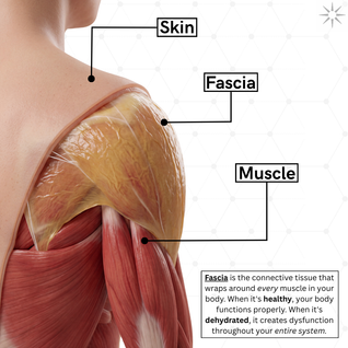TrueForm™ Fascial Release Supplement