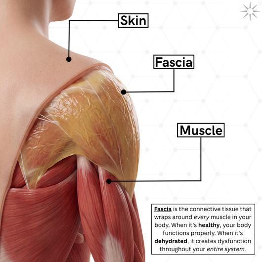 TrueForm™ Fascial Release Supplement