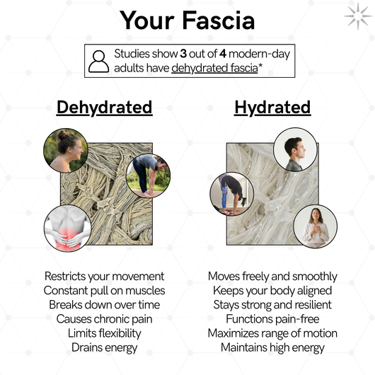 TrueForm™ Fascial Release Supplement