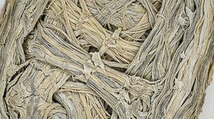 The Problem Develops